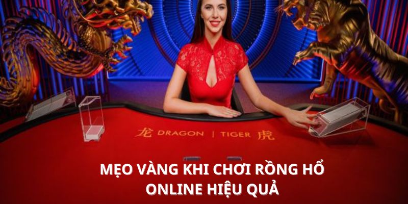 Một số tips khi chơi tại Rồng Hổ